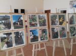 Miniatura zdjęcia: Komisja oceniła ogrody upiększające wieś Lekaty